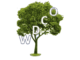 large 5600 x 5600 wdco logo with transparency