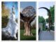 A collage of the Mary Wollstonecraft Sculpture, the Clissold Park Tree Sculpture and the Queensbridge Sculpture