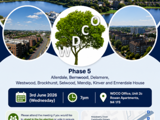 Phase 5, Brochure 2026