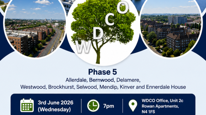 Phase 5, Brochure 2026