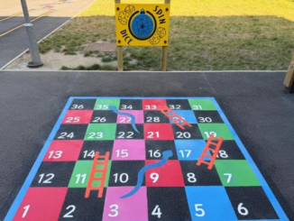 Snakes and ladders on the Newton closed sports area.