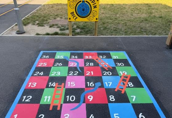 Snakes and ladders on the Newton closed sports area.